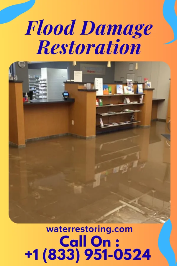 Flood Damage Restoration in Cimarron Hills, CO